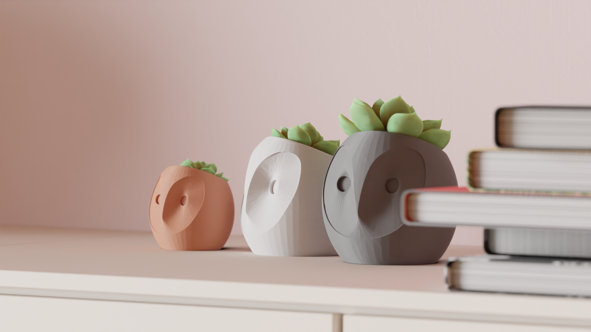 Succulent Plant Pot Cute Owl Planter – Large size