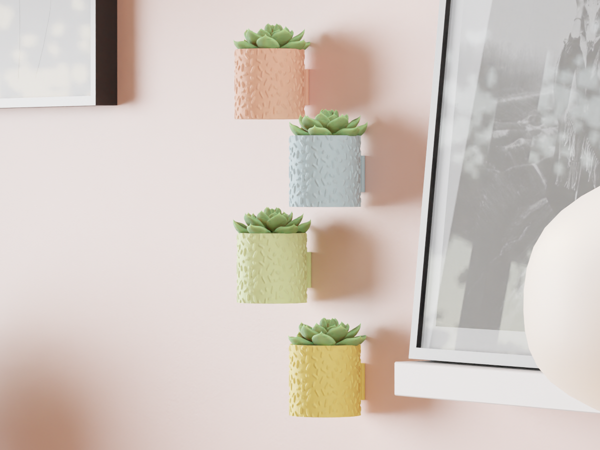 Succulent Plant Pot Wall Mounted & Drainage Tray