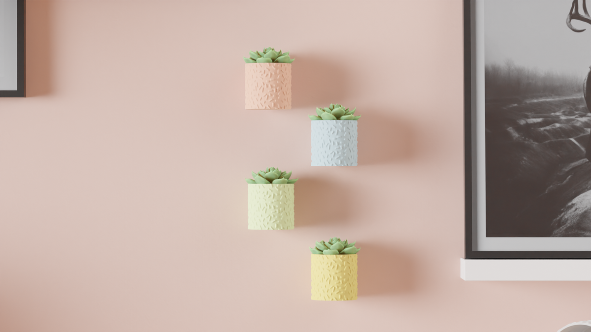 Succulent Plant Pot Wall Mounted & Drainage Tray