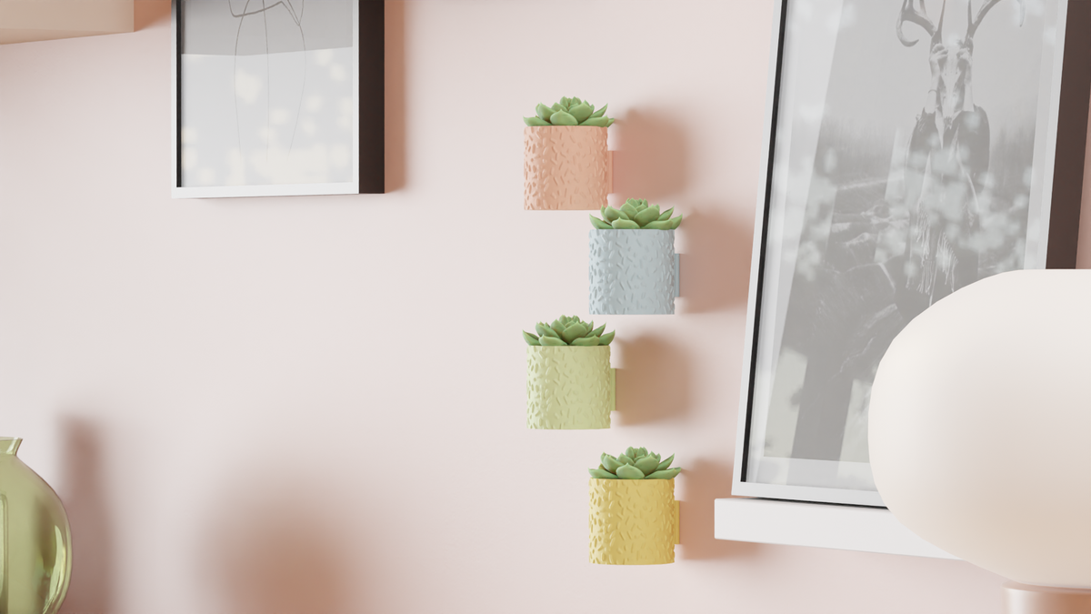 Succulent Plant Pot Wall Mounted & Drainage Tray