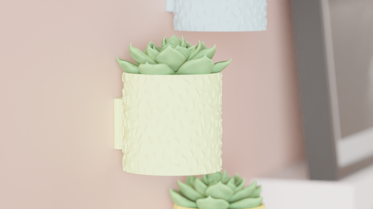 Succulent Plant Pot Wall Mounted & Drainage Tray