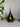 Teardrop Tealight LED Candle Holder