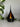 Teardrop Tealight LED Candle Holder