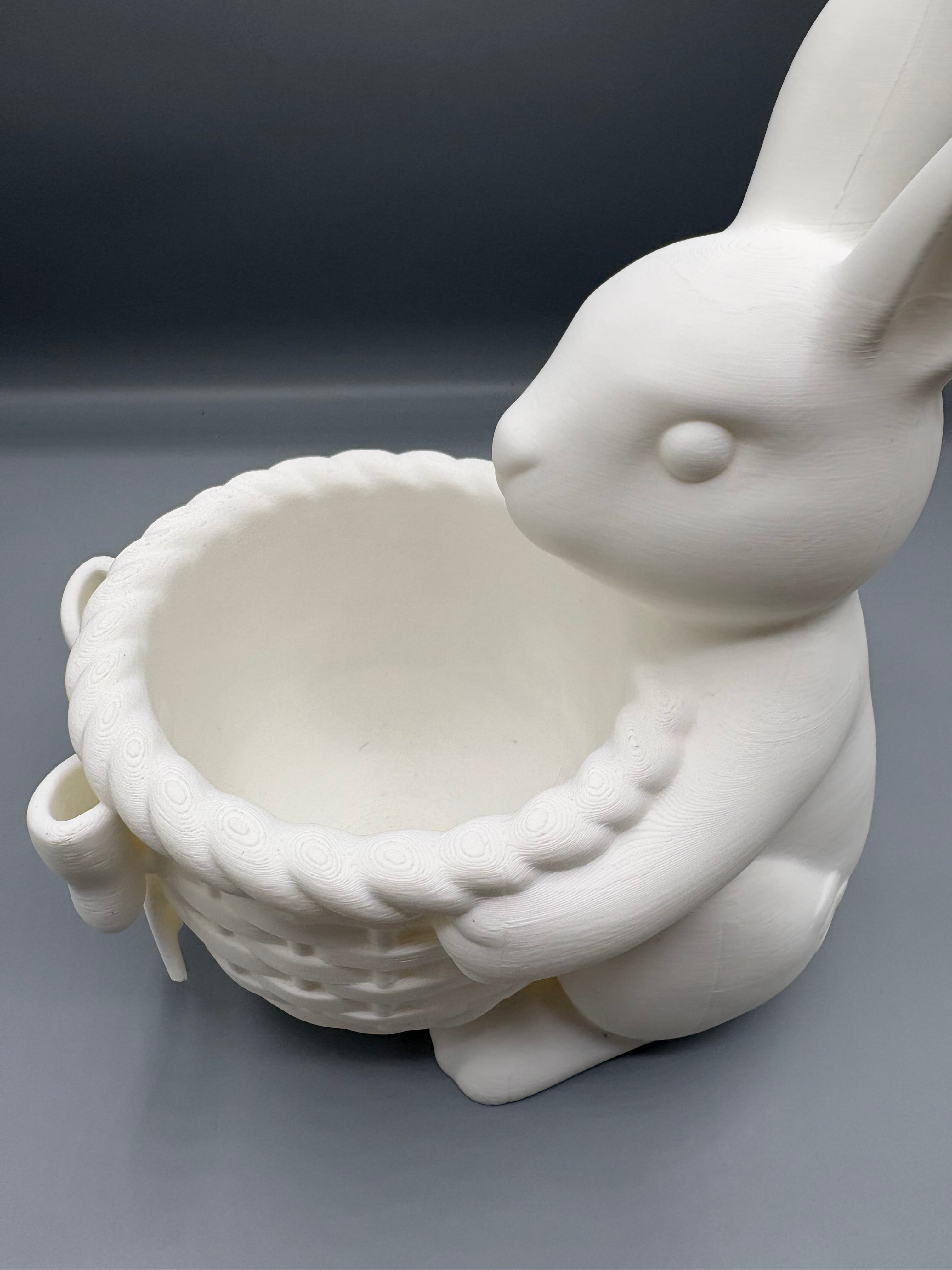 Easter Bunny Basket — Coquette Ribbon Catchall