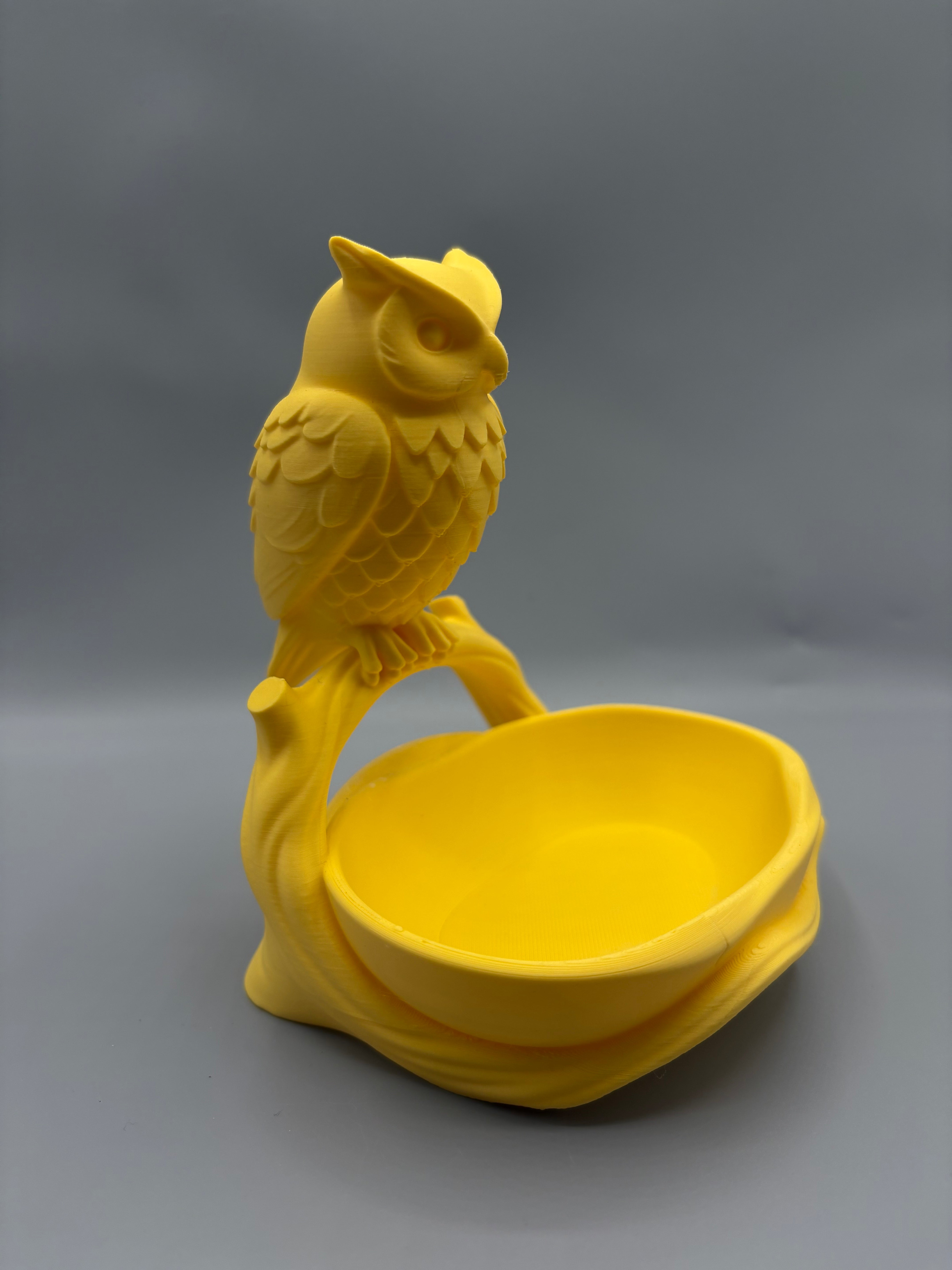 Owl Entryway Catchall Bowl Key Holder Tray Decor