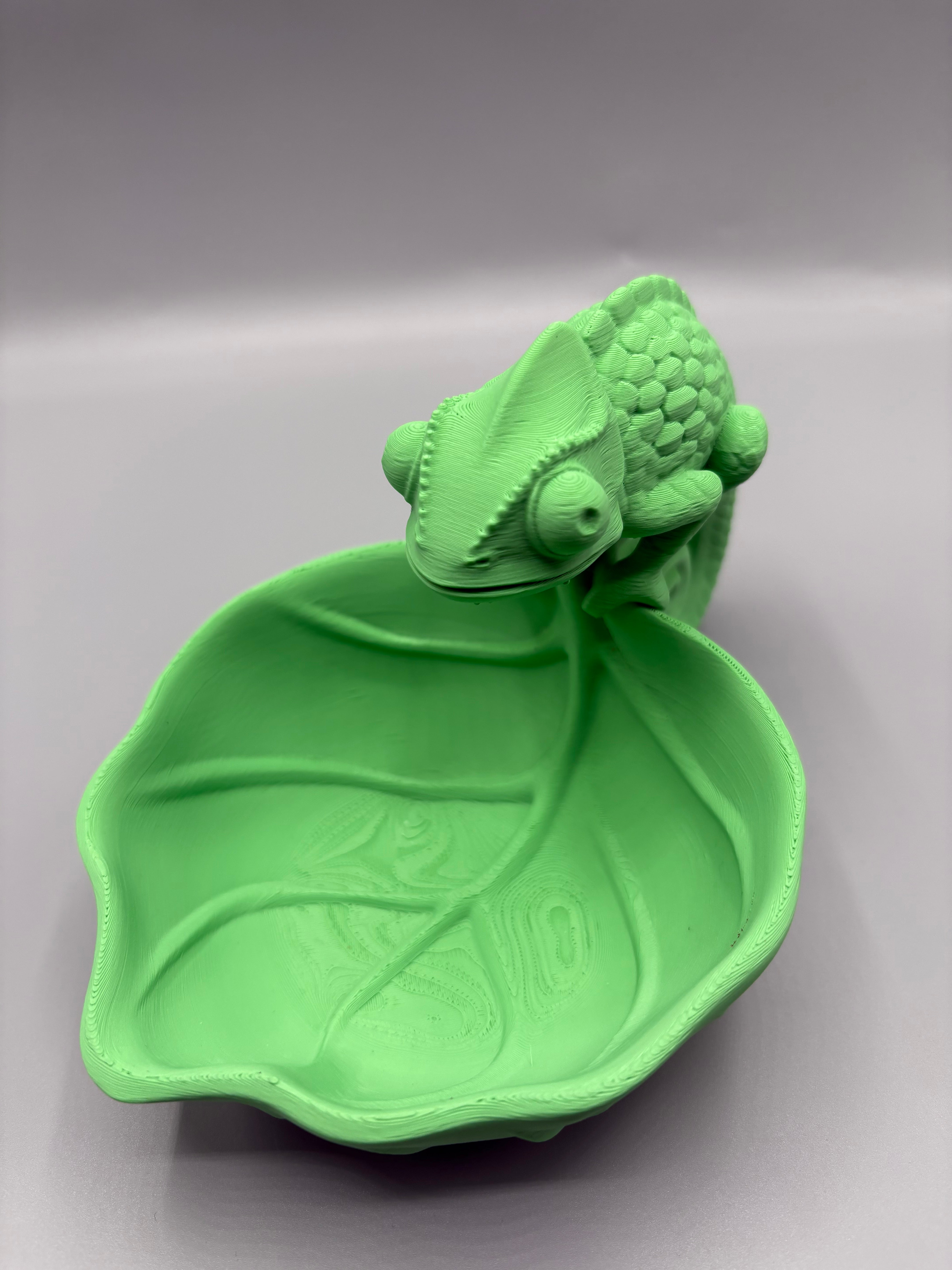 Chameleon Catchall Bowl | Key Holder Tray