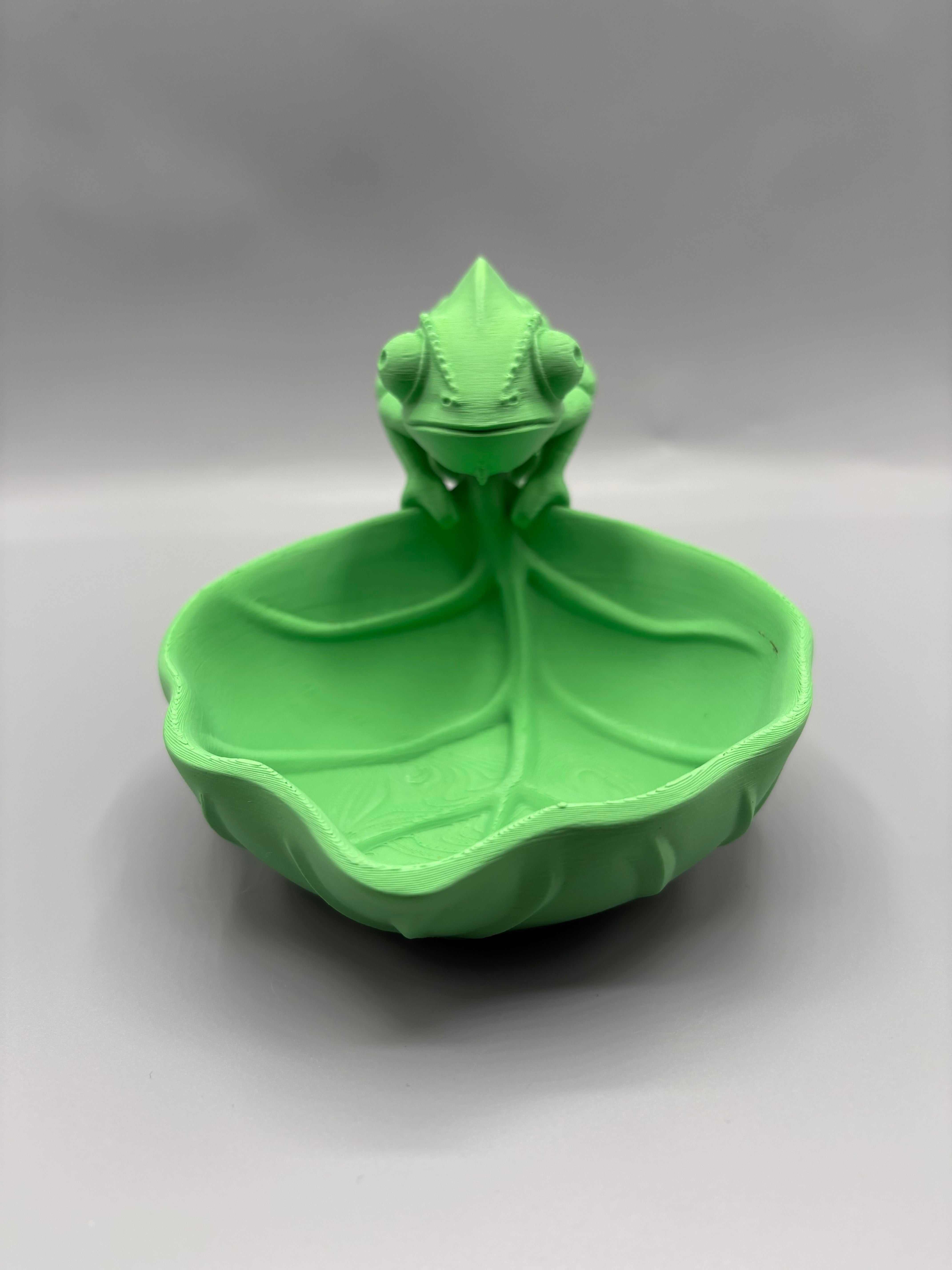 Chameleon Catchall Bowl | Key Holder Tray