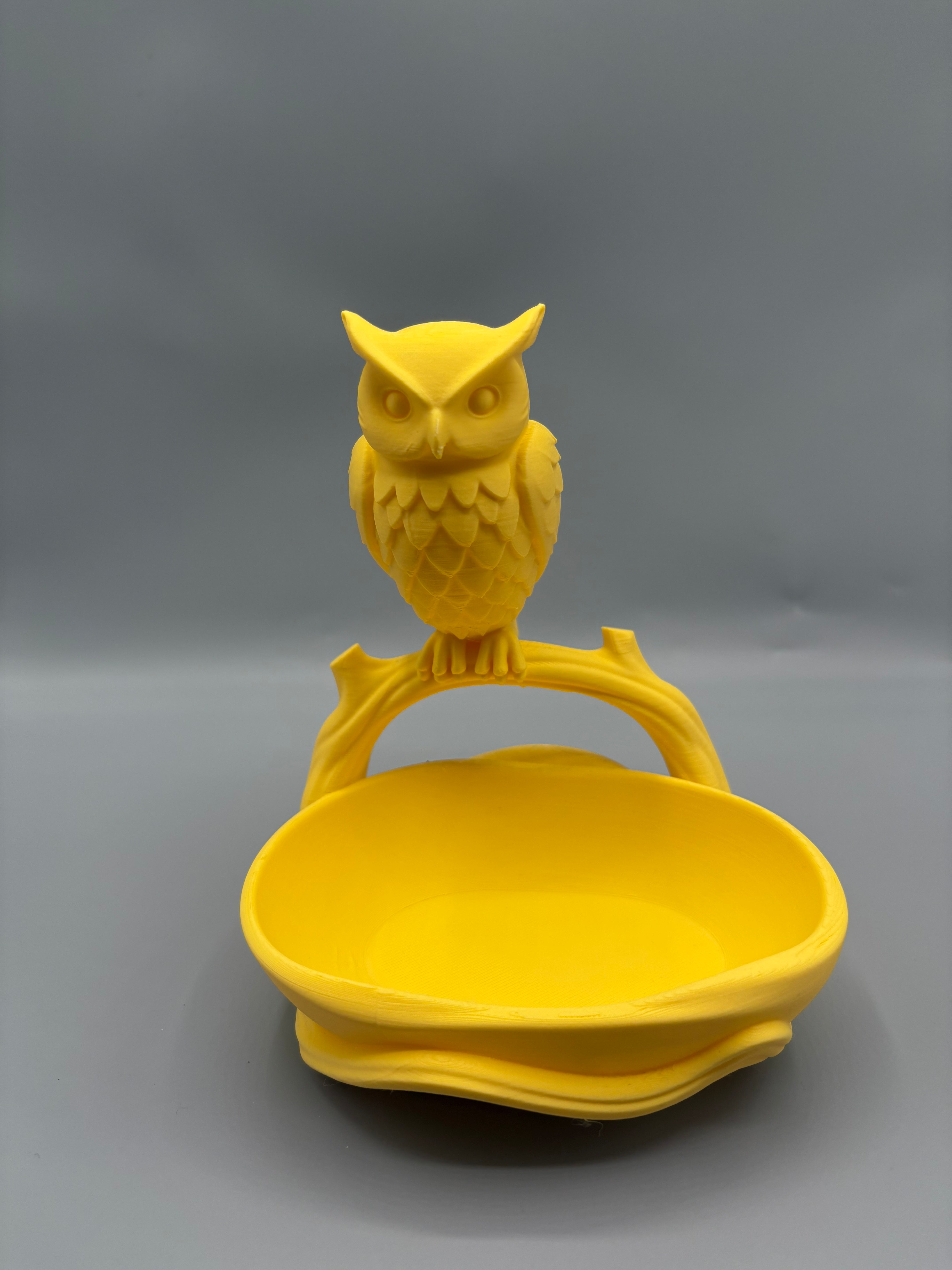Owl Entryway Catchall Bowl Key Holder Tray Decor