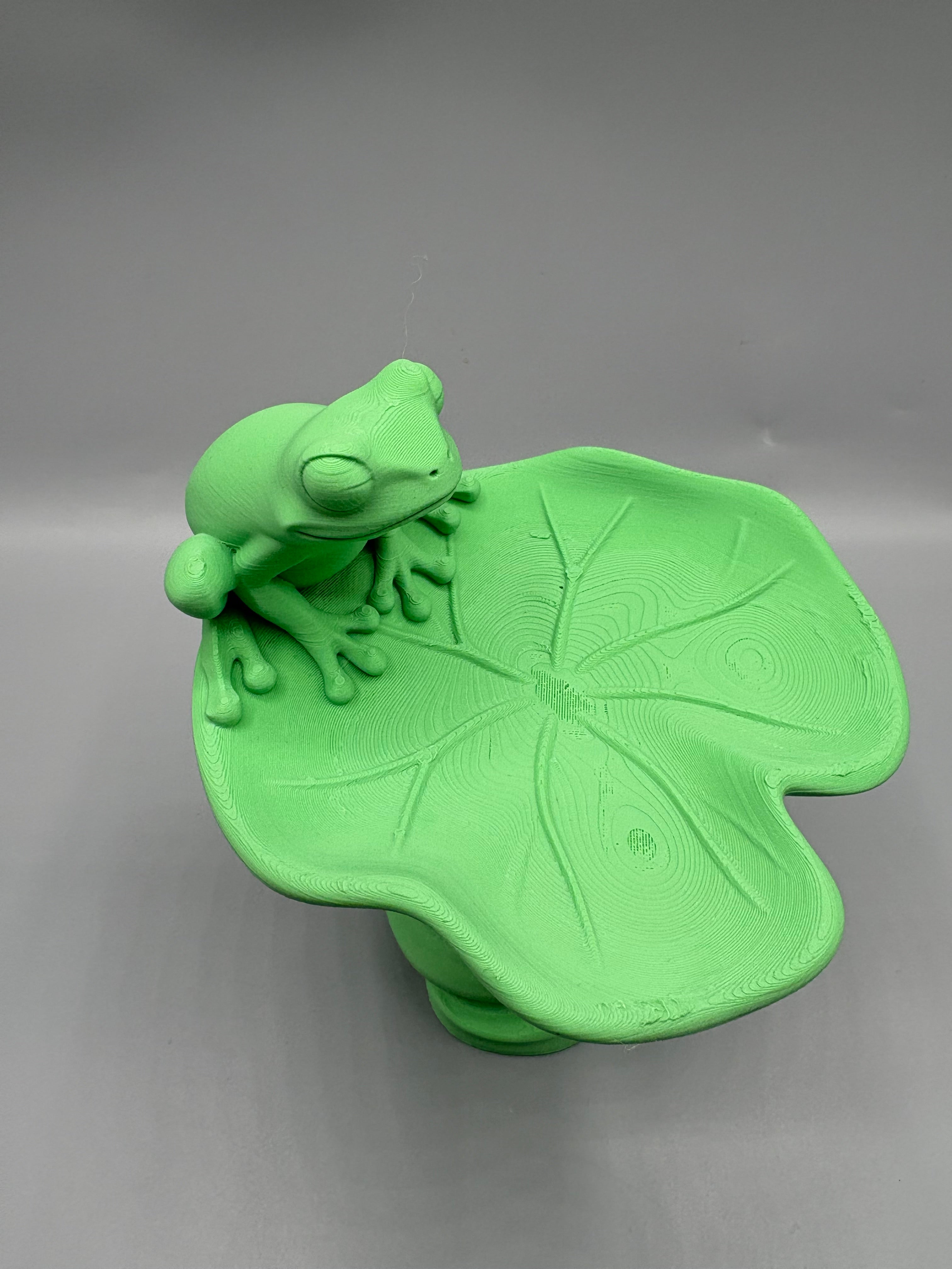 Frog Key Catchall | Lily Pad Entryway Tray