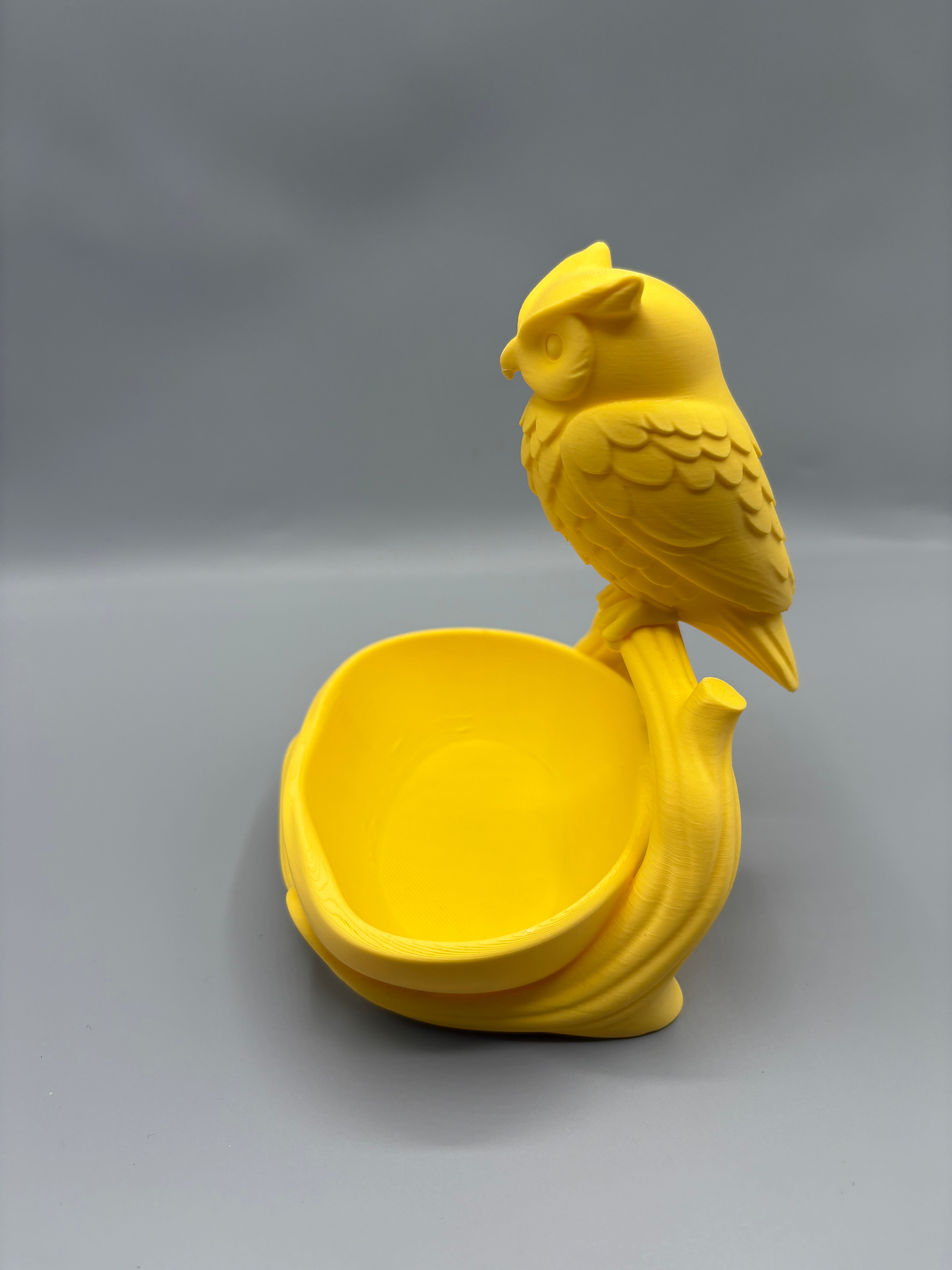 Owl Entryway Catchall Bowl Key Holder Tray Decor