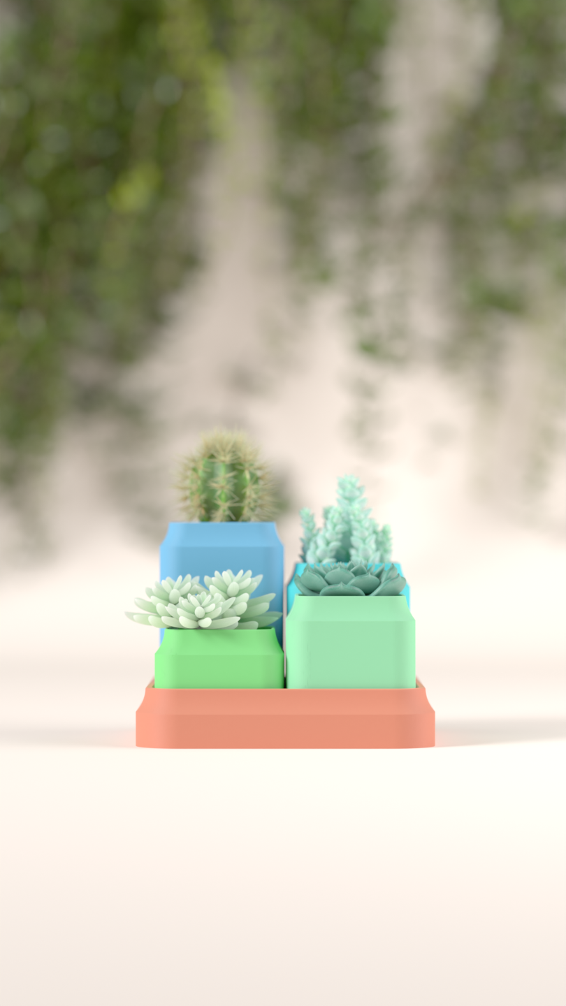 Tiered Succulent Planters with Drainage