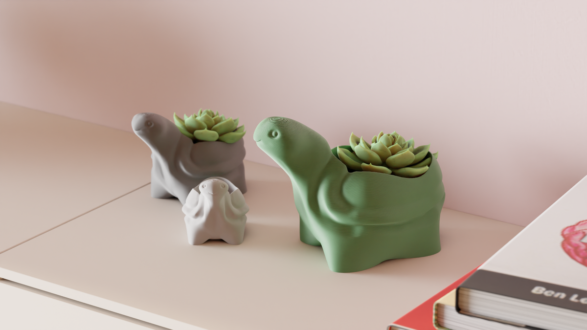 Tortoise Plant Pot Great Succulent Planter – Large size
