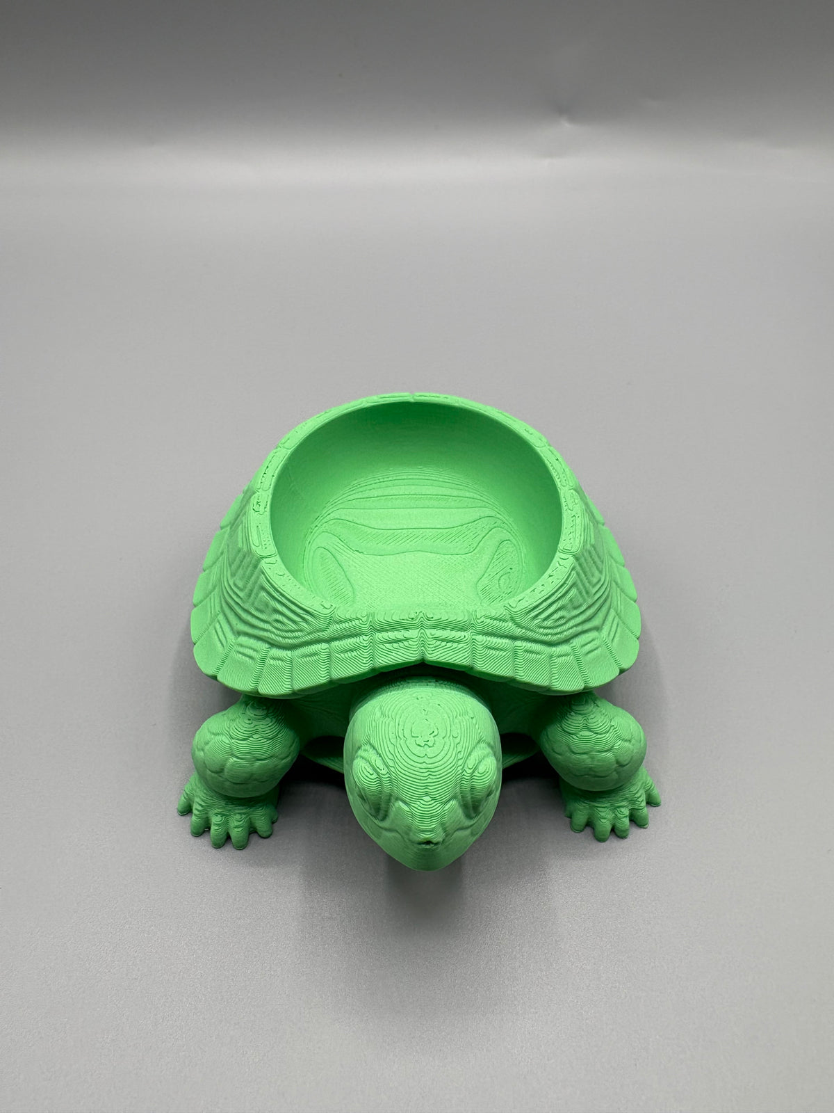 Turtle Desk Companion Bowl Organizer