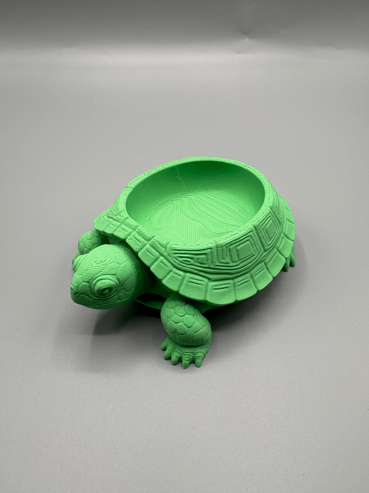 Turtle Desk Companion Bowl Organizer