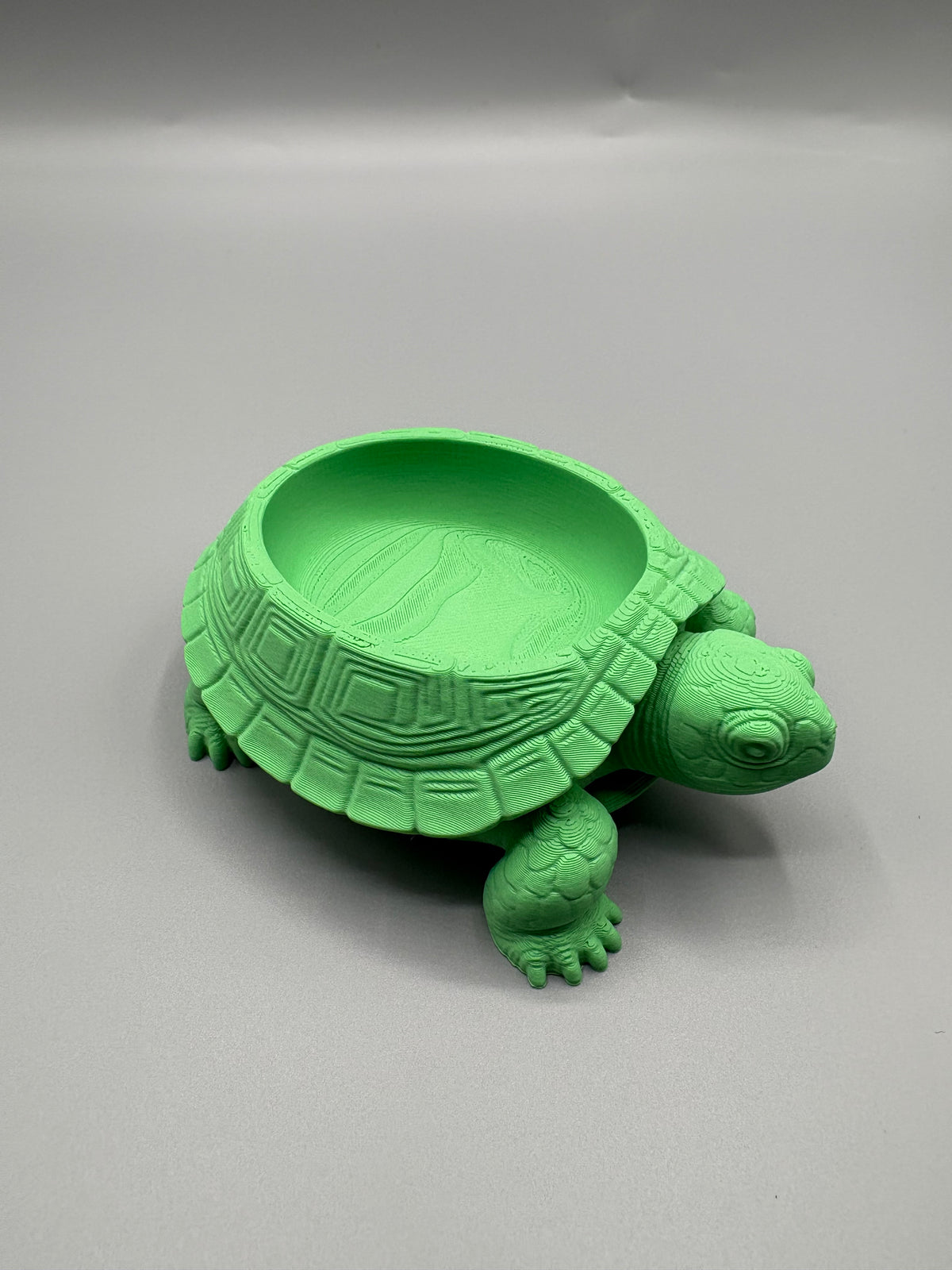 Turtle Desk Companion Bowl Organizer