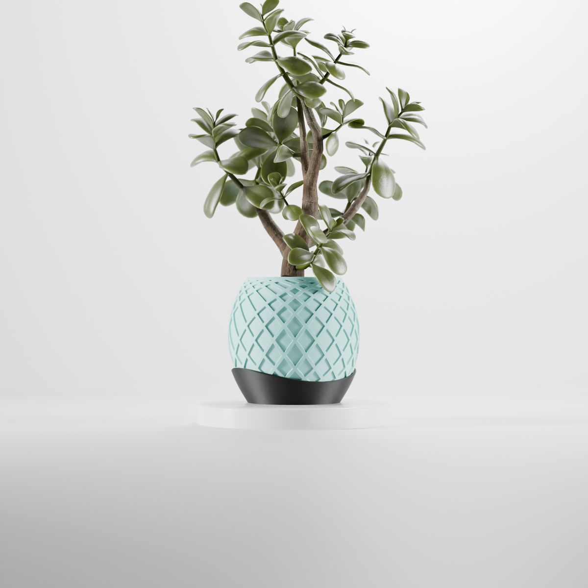 Two Part Oval Planter with Drip Tray