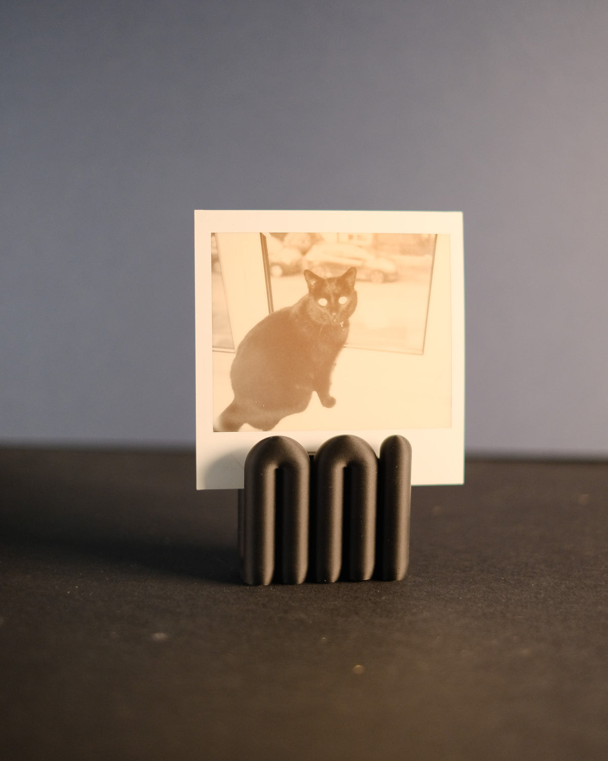 Wibble Aesthetic Photo Holder